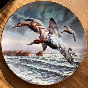 FEDERAL DUCK STAMP collector plate CANVASBACKS David Maass WATERFOWL Ducks